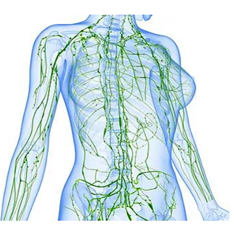 Lymphatic Drainage Massage